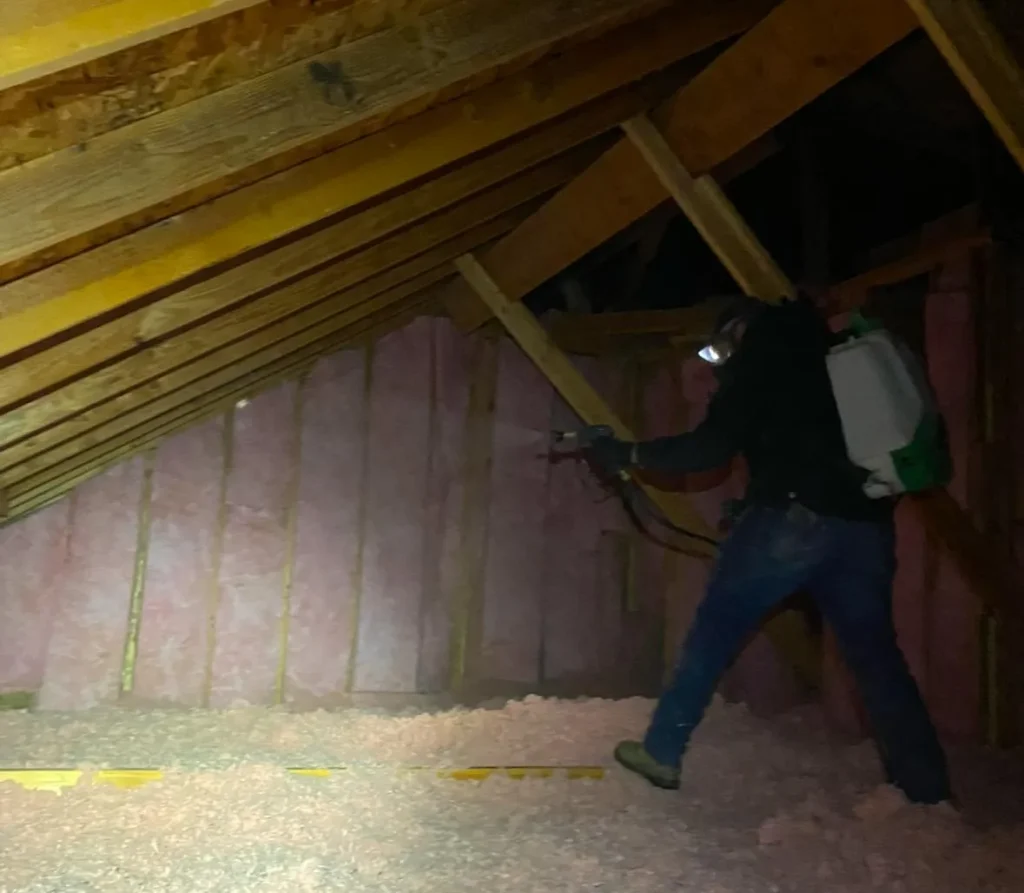 Attic Remediation