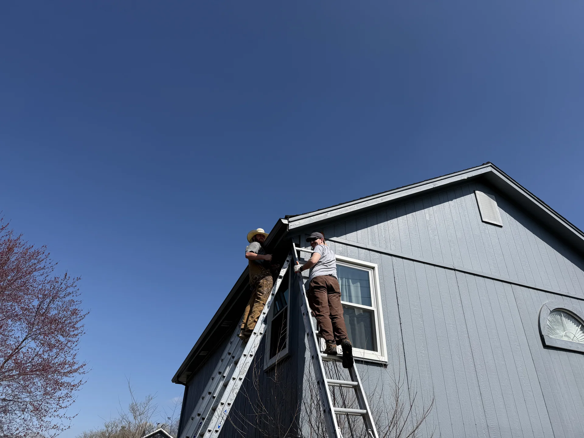 Frontier Trapper technician performing roofline exclusion work