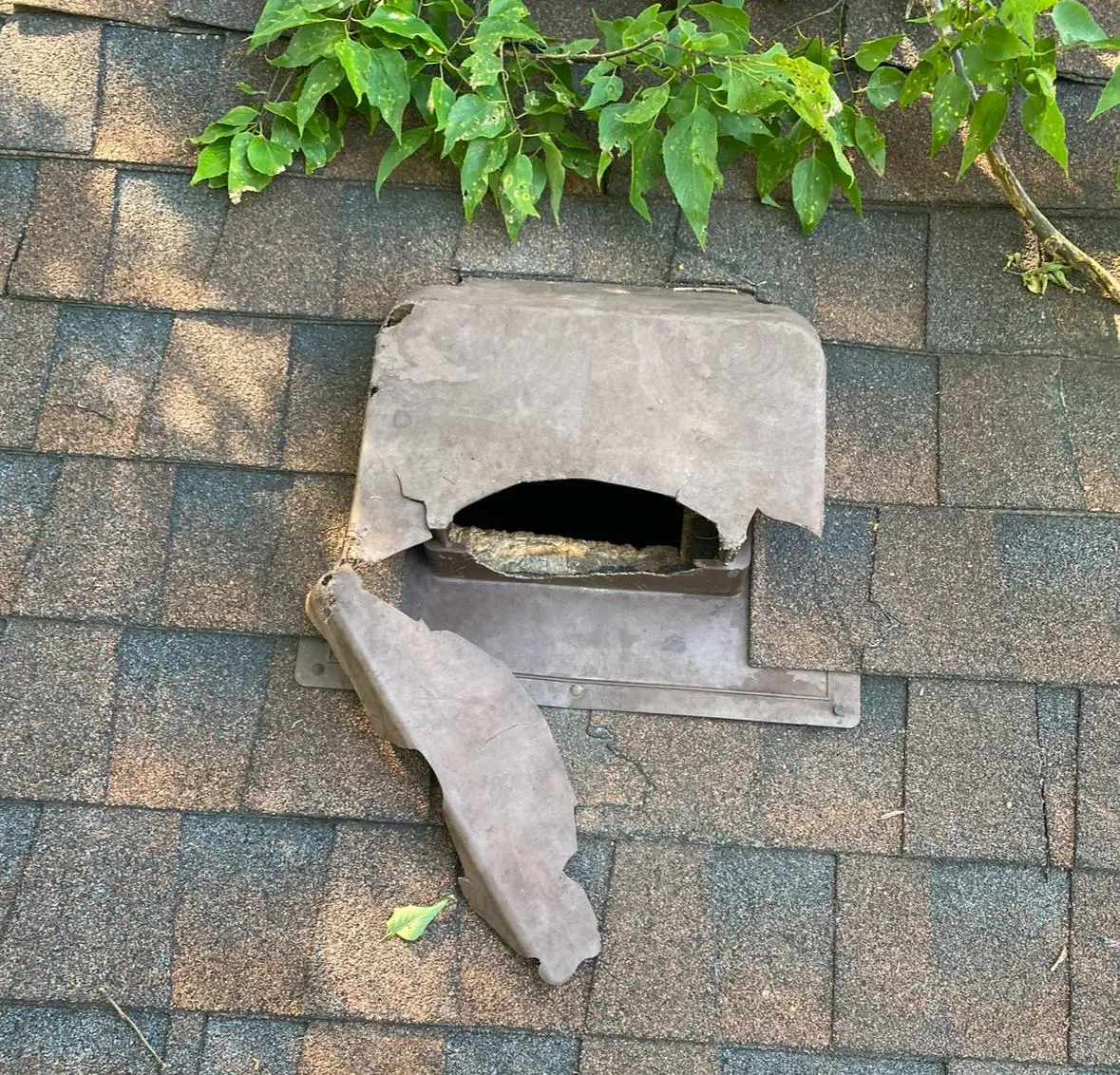 Damage Repair & Prevention