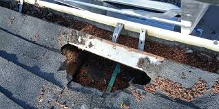 Wildlife Exclusion & Damage Repair