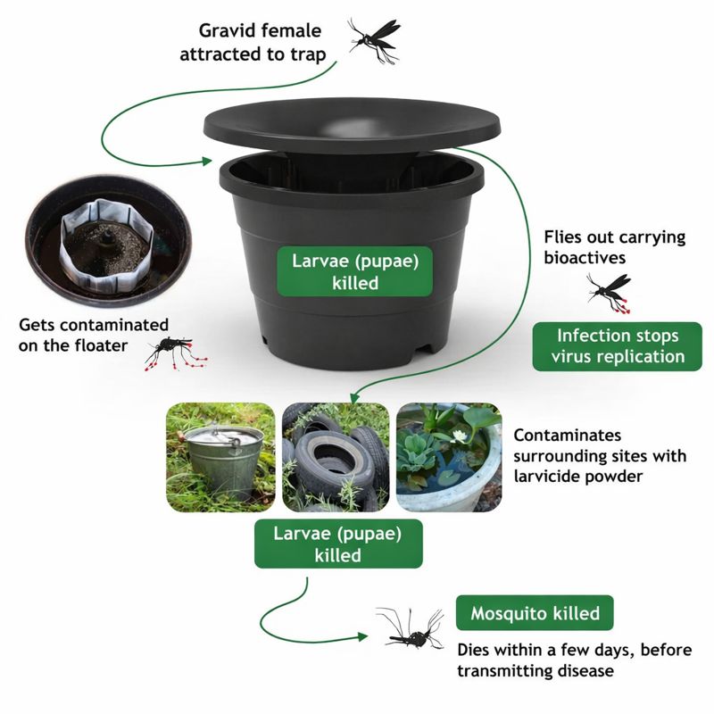 Green Mosquito Control